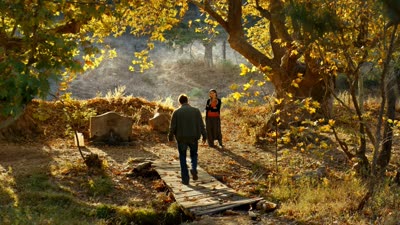 بنر فیلم درخت گلابی وحشی