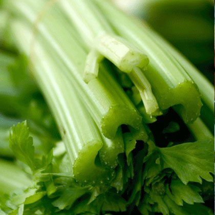کالری سبزیجات,کرفس-celery