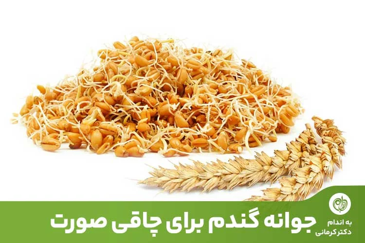 چاقی | چاقی صورت