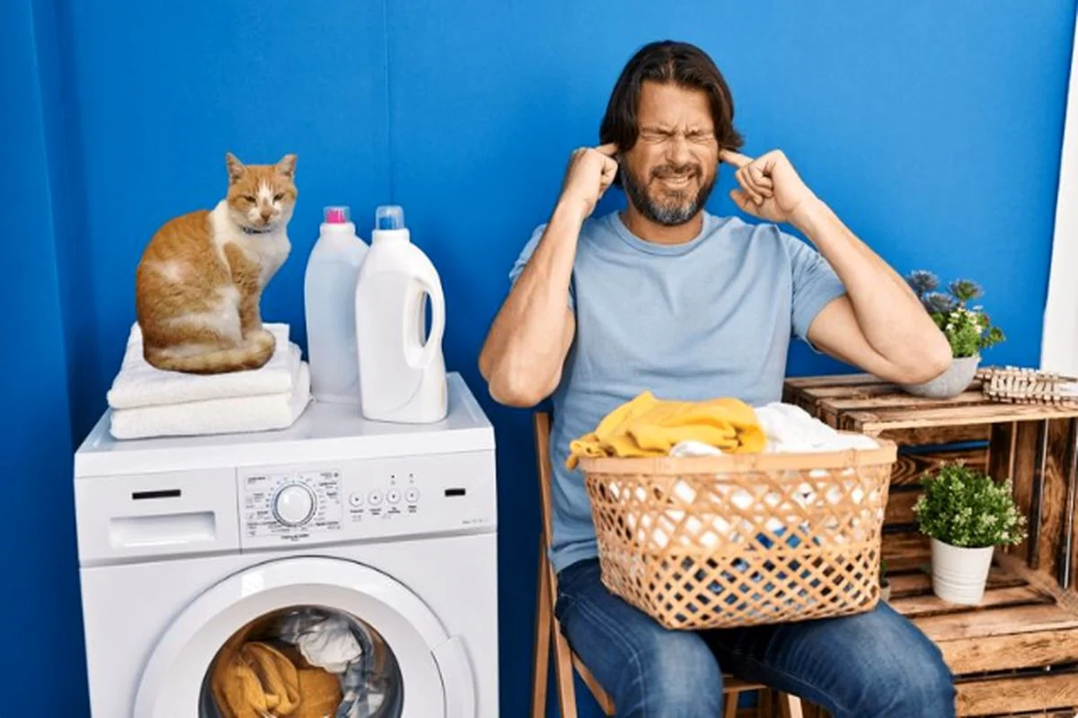 What is the reason for the loud noise of the washing machine?