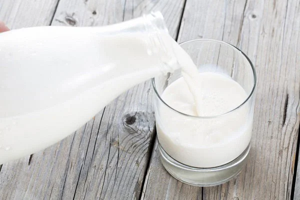 What is milk serum protein?