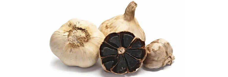 سیر سیاه در کجا یافت می شود ؟