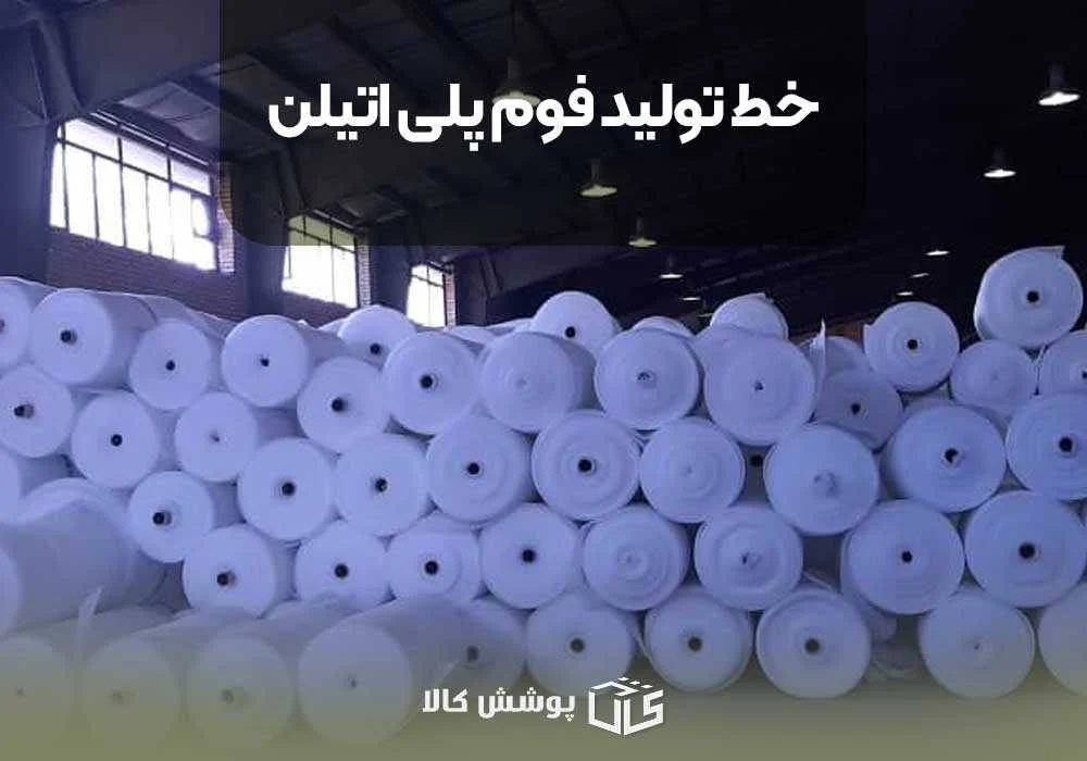 عمومی