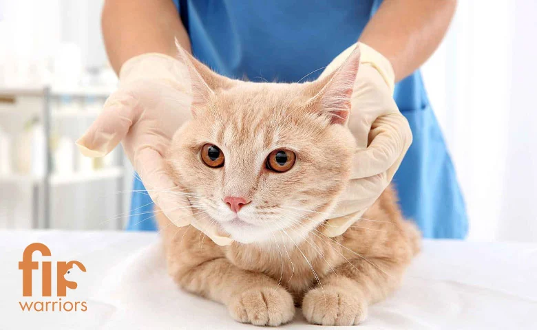 آزمایش خون