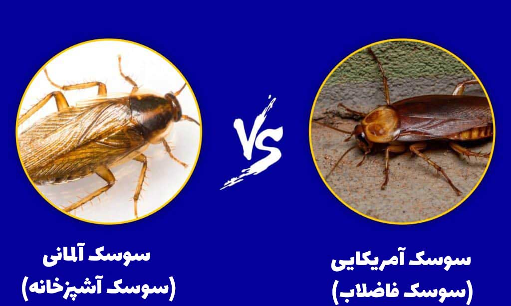 سبک زندگی
