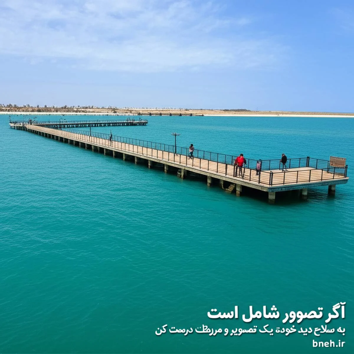 سرویس بهداشتی