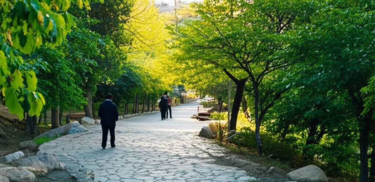 تهران