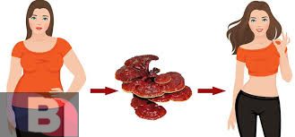 قهوه گانودرما | کاهش وزن